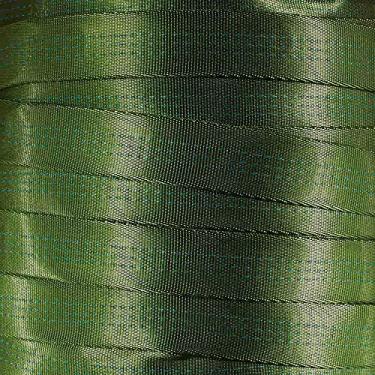 Imagem de West Coast Corda de nylon tubular de 2,5 cm – Premium resistente leve com resistência à ruptura de 1,814 kg – alças para uso externo para escalada e segurança (Kiwi, 9,5 metros)