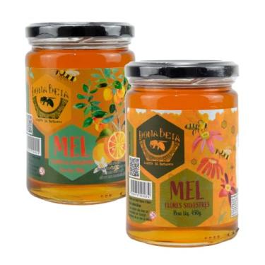 Imagem de Mel Puro Flores Silvestres e Laranjeira 900g 100% Natural Dona Beia