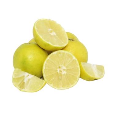 Imagem de Muda Frutífera de Lima da Pérsia Enxertada - AgroJardim