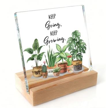 Imagem de Krstartiz Decoração de escritório inspiradora para mulheres, meias para meninas adolescentes, decoração de mesa motivacional para professores, escritório de terapia, sala de aula, cubículo, presente