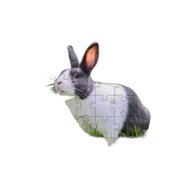 Imagem de Quebra-Cabeça Belo Coelho 60 Peças Educativo E Inteligente