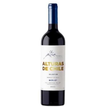 Imagem de Vinho Tinto Chileno Alturas de Chile Merlot 2023 750ml - Bodegas y Viñ