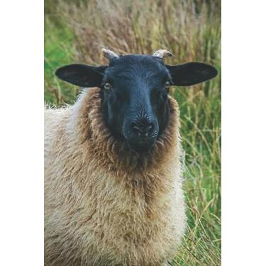 Imagem de SUFFOLK SHEEP IN KINTYRE: 6 x 9 Inch Blank Lined Journal For Sheep Breeders, Farmers and Nature Lovers
