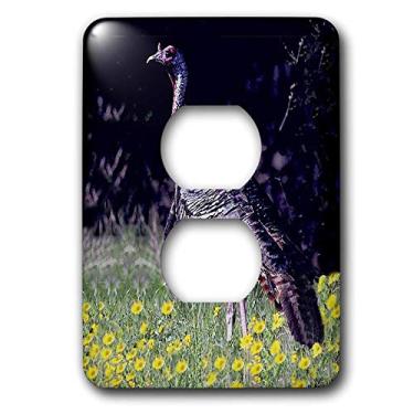 Imagem de 3dRose Tampa de tomada para 2 plugues da lsp_720_15 cm Wild Turkey Gobbler