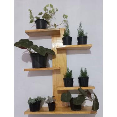 Imagem de Painel De Madeira Palete Decorativo Cactos Suculentas.