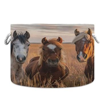 Imagem de Burbuja Cesta de armazenamento redonda para cavalos com alças de corda de algodão, cesta de lavanderia para cobertores, brinquedos, berçário, decoração de sala de estar
