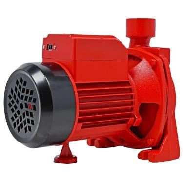 Imagem de Bomba Centrifuga 1,0 Hp 127/220v 1x1'' Worker