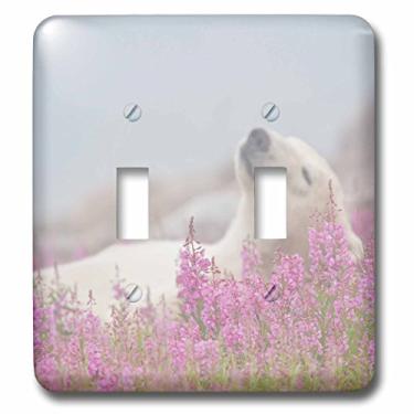 Imagem de 3dRose lsp_54961_2 Urso Polar Snooze In Fog And Fireweed Flowers. Interruptor Alternador
