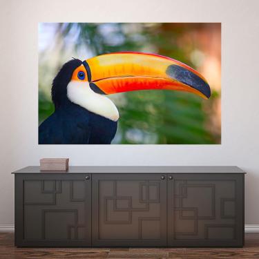 Imagem de Painel Adesivo de Parede - Tucano - Animais - 1674pnm