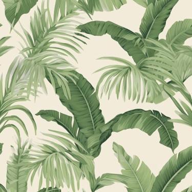 Imagem de Papel de parede de folha descascar e colar, papel de contato botânico verde bege, folhas de palmeira, papel de parede, autoadesivo, impermeável, removível para prateleiras de quarto, armário, gaveta,