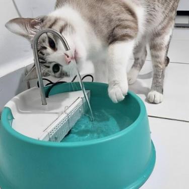 Imagem de Bebedouro Gato Cachorro Pets 1,5L Bivolt Automática Fonte de Água p/ A