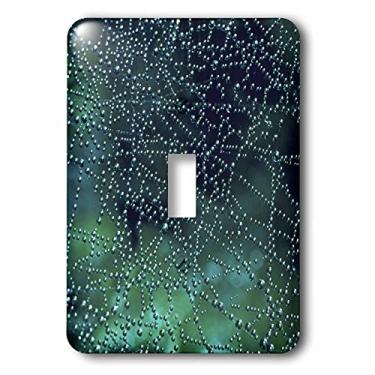 Imagem de 3dRose Interruptor de botão único Lsp_75195_1 Dew Drops on Spider Web