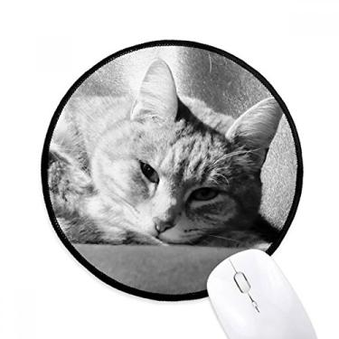 Imagem de Mouse pad de fotografia de gato cinza puro para computador