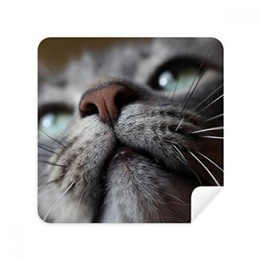 Imagem de Animal Looking Up Cat Photograph Glasses Pano Limpador de Tela Tecido Camurça Pacote com 2