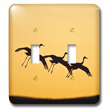 Imagem de 3dRose lsp_145229_2 Sandhill Crane Bird Landing, Novo México, EUA Us32 Ldi0032 Larry Ditto Interruptor duplo