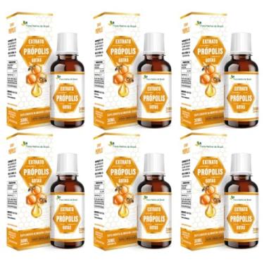 Imagem de 6x Extrato de Própolis 15% de Extrato Seco 30Ml Flora Nativa
