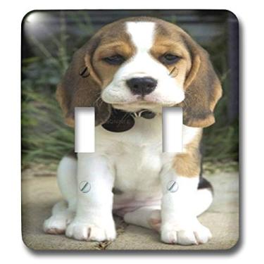 Imagem de 3dRose lsp_49290_2 Lindo beagle filhote posando interruptor