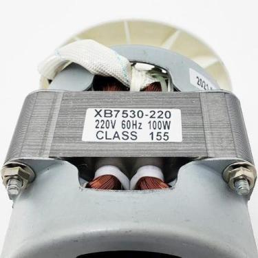 Imagem de Motor Elétrico NPF-53 XB6240 B Class 155 220V 60Hz Mondial - Mk Mondia