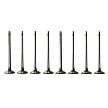 Imagem de Valvula De Escape Ducato 2.3