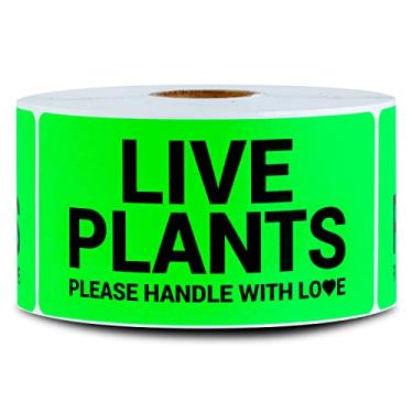 Imagem de Etiquetas de plantas vivas (10 x 5 cm, verde - 300 etiquetas) adesivos de placas vivas - Manuseie com cuidado para instruções de envio e manuseio, suprimentos de aviso/cuidado e plantas de envio