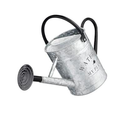 Imagem de Fenteer Regador de metal, garrafa de água para jardim, aspersor, ferramenta de jardinagem, regador para plantas de interior e exterior, bonsai