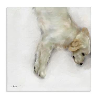 Imagem de Stupell Industries Arte de parede em tela Sweet Cream Sleeping Dog, design de Mary Sparrow, 61 x 61 cm