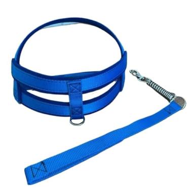 Imagem de Coleira peitoral para cachorros de medio grande porte pet resistente dog reforçada (AZUL,G)