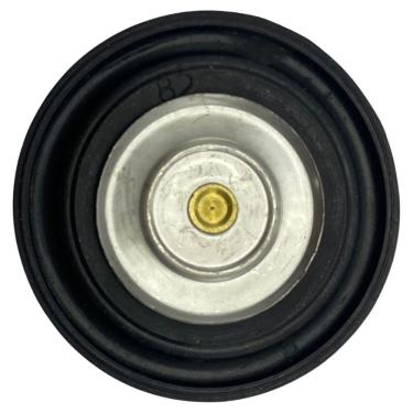 Imagem de Diafragma Aquecedor a Gás Rinnai Antigo Cosmopolita D82 - MR7038101