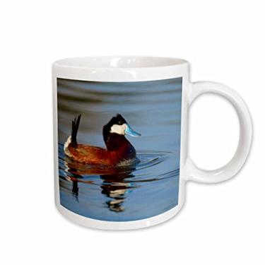 Imagem de 3dRose Caneca de cerâmica masculina Ruddy Duck, Henderson, Nevada-US29 MPR0067-Maresa Pryor, 325 ml, branca