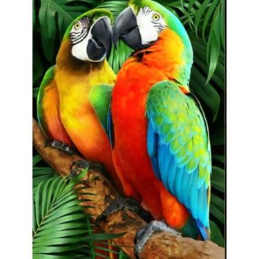 Imagem de Como comprar talagarça Kit completo tela pintada lã agulha e manual - 