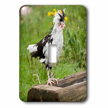 Imagem de 3dRose lsp_206515_1 Canada, Nova Escócia, Fortress of Louisburg NHS Chicken Interruptor único