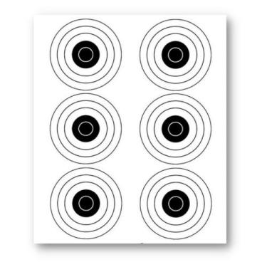 Imagem de Alvo Papel - 5 unidades - 42cmx30cm - Impressões Papaléguas, Opção 01