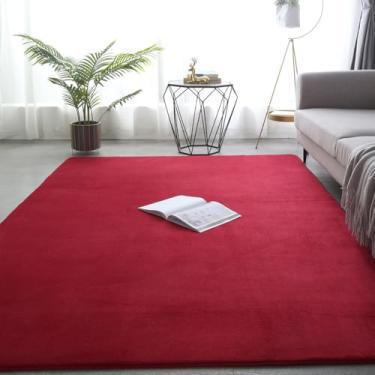 Imagem de Tapete grosso para sala de estar, decoração de lã coral, tapete grande para quarto, macio para crianças, tapete de brincar, tapete de ioga para janela de meninas, vinho tinto, 40 x 60 cm (15 x 23 pol