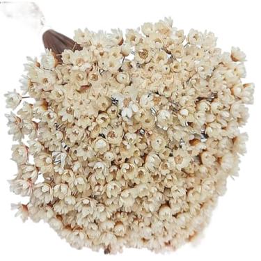 Imagem de Buquê de 300 Flores Secas Sempre Viva Mosquitinho – Mini Florzinhas Naturais para Arranjos e Decoração(Natural)