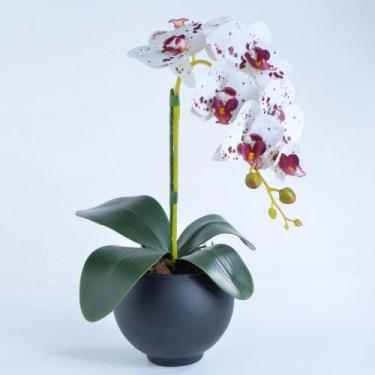 Imagem de Arranjo de 1 Orquídea Tigre em Vaso Preto Fosco Isa - Vila das Flores