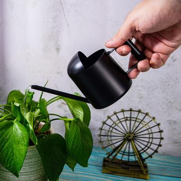 Imagem de Aychingye Mini Regador, 10 Onças/300 Ml de Aço Inoxidável com Bico Longo para Aspersão, Regador Pequeno para Plantas, Regador de Jardim para Flores Internas e Externas, Suculentas (Preto)