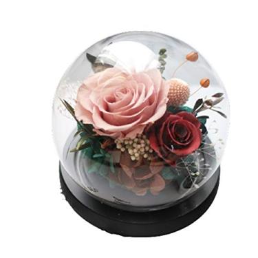 Imagem de WYUYIWH Flor artificial flor eterna pequena caixa de presente preservada rosa real aniversário melhor amiga namorada decoração ornamentos de presente fino (rosa)