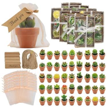 Imagem de AZEAM 48 peças de velas suculentas, lembrancinhas de festa, decoração de mesa de cacto a granel com mini suportes de terracota, decoração de velas pequenas de plantas artesanais para chá de bebê