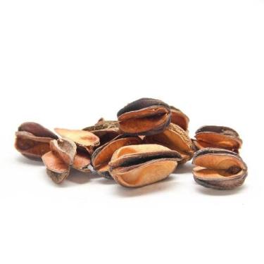 Imagem de Sementes Cascas Diversas para Decoração Flores Seca Variadas - Cinzeir