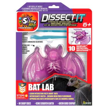 Imagem de Kit de Dissecação com Refil Lab Dissect-It - Morcego