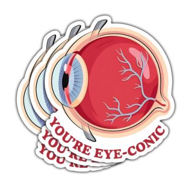 Imagem de 3 adesivos engraçados para olhos You're Eye-Conic Anatomy, decalques de vinil médicos, optometria oftalmologia, adesivos de trocadilho cortados à prova d'água para laptop, garrafa de água, prancheta