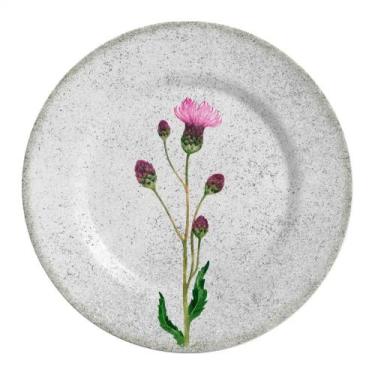 Imagem de Conjunto com 6 Pratos Raso Cirsium Acetinado Ø29cm - Alleanza Cerâmica