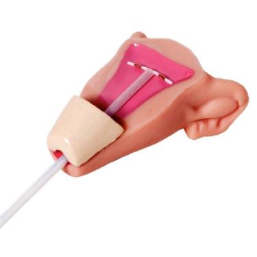 Imagem de Simulador Médico De Aplicação Diu