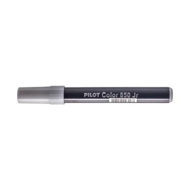 Imagem de Caneta hidrocor 850 jr pilot - preto