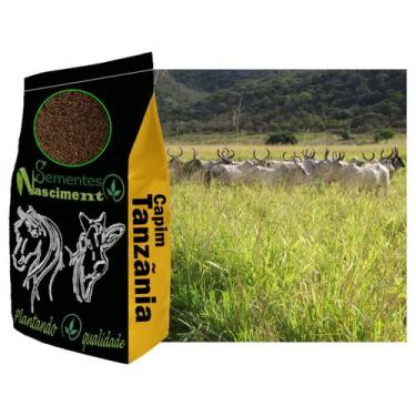 Imagem de 10kg Sementes de capim Tanzãnia para pastagem excelente para Caprinos 