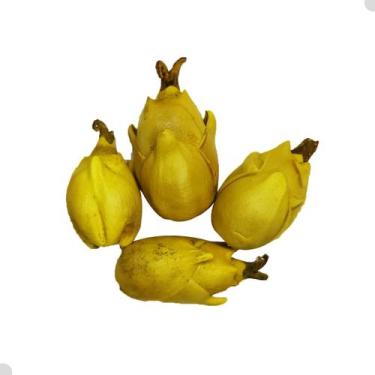 Imagem de Fava de Oxum Flor Fechada Ritual Religioso 1 Unidade - Rei Dos Orixás,