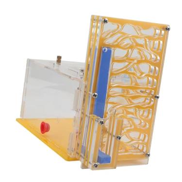 Imagem de Ｂｅｓｇａ de formigas com cesto de ração, caixa de criação de formigas para o dia crianças, amantes de casa, quarto, Amarelo