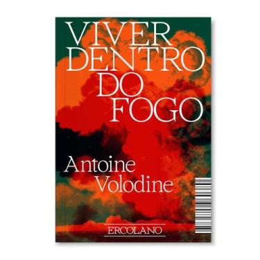 Imagem de Livro - Viver dentro do fogo