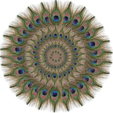 Imagem de Penas de pavão SendyFeather 100 unidades naturais de 25-30 cm para bri
