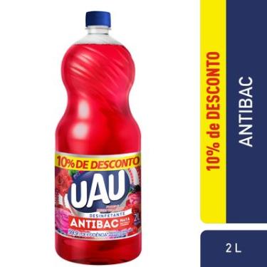 Imagem de DESINFETANTE UAU ANTIBACTERIANO FLORAL FRUTAS VERMELHAS PRM10 2L